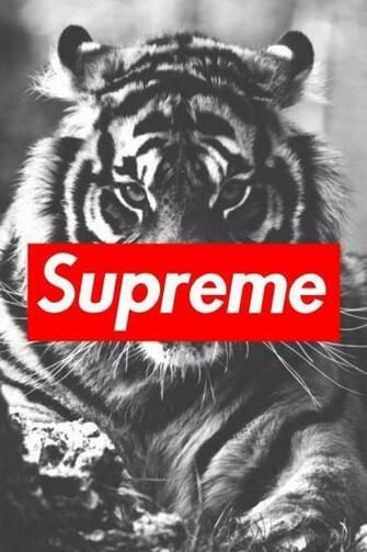 Supreme Logo