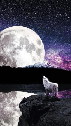 Wolf Moon River In Resolution Howling At