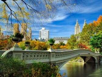 Central Park Wallpaper