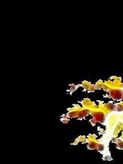Pokemon Rapidash Black Background