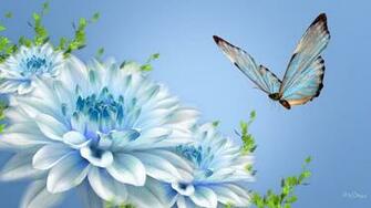 Beautiful Butterflies Wallpaper