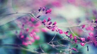 Windows Wallpaper Dream Garden System V3