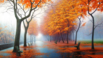 Full HD Nature Wallpaper