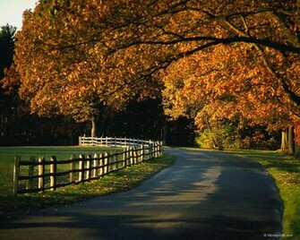 Autumn Wallpaper
