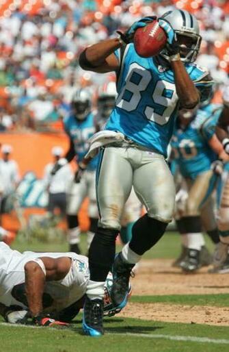 Smith Panthers Vs Dolphins Graphics Code S