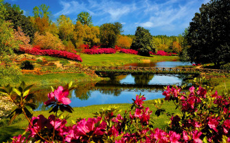 Spring Wallpaper HD