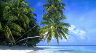 Aruba Country Best Desktop Background Gallery Background Pictures