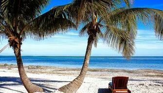 Beautiful Florida Beach Usa Wallpaper Naviwall