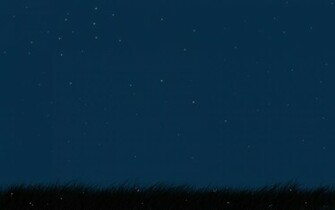 Grass And The Night Sky Wallpaper