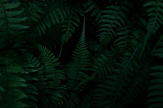 Photo Fdfdffc3e3c4 Wallpaper