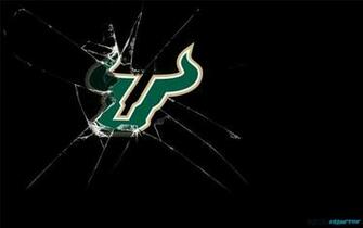 South Florida Bulls Wallpaper Bestsportswallpaper