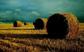 For Late Summer Landscape Desktop Background Car Pictures