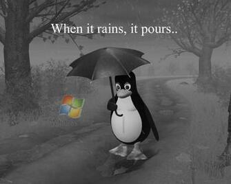 Cool And Funny Microsoft Windows Wallpaper