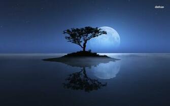Reflection Wallpaper