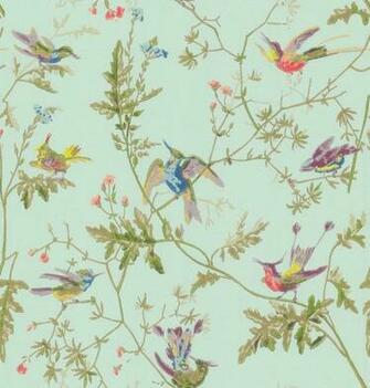 Wallpaper Background Birds