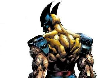 Wolverine Computer Wallpaper Desktop Background Id