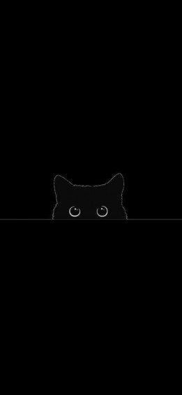 Yammy Chan On Phone Wallpaper Scary Cute