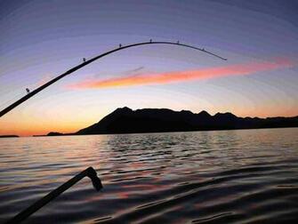 Fishing Digital Wallpaper Amazing Wallpaperz