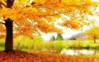 Autumn Scenic Wallpaper In HD