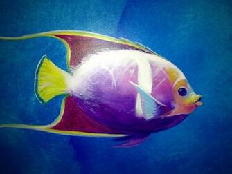 Tropical Fish Gold