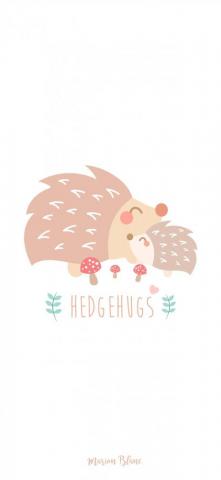 Hedgehogs iPhone Wallpaper
