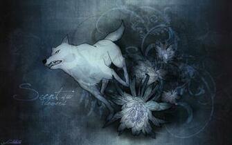 Wolfs Rain Wallpaper