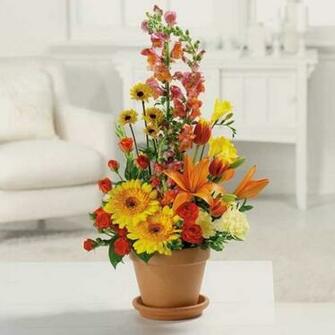 Wallpaper Pictures Image And Photos Fall Flower