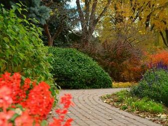 Autumn Scene Wallpaper Image And Nature