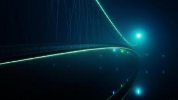 Neon Night Lights HD Wallpaper Desktop And Mobile Image Photos