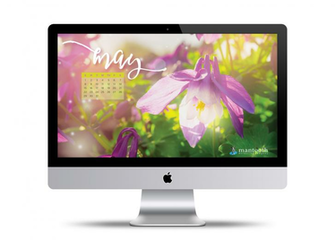 Turn Your Desktop Into Flowers And Sunshine With Our