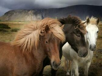 Three Ponies Wallpaper