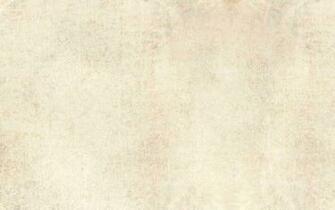 Pale Background