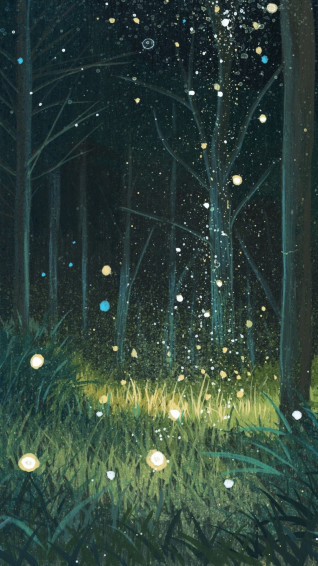Forest Wallpaper iPhone