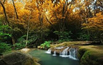 Autumn Widescreen Wallpaper HD