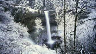 Snowy Forest Wallpaper HD