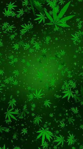 Trippy Weed Leaf Wallpaper Live App For