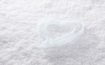 White Wallpaper For Desktop And Mobile