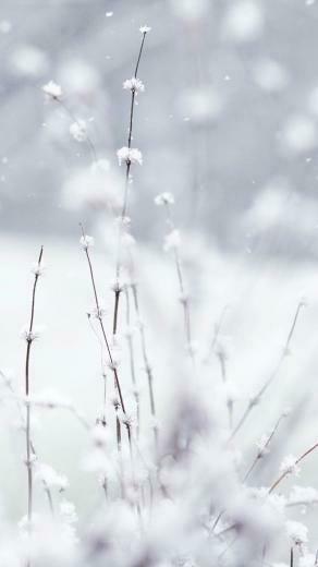 Best iPhone 6s Christmas Winter Wallpaper Background