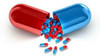 Abh Pharma Inc On Capsule Manufacturing Pharmaceutical