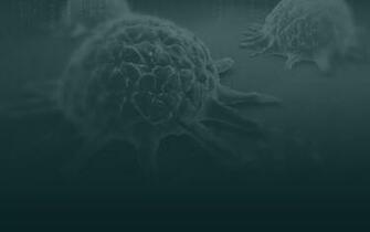 Immuno Oncology Research
