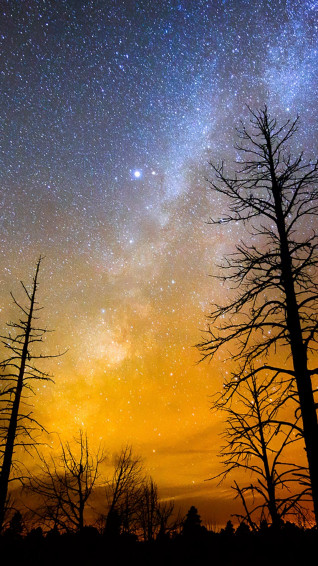 HD Wallpaper For Mobile Phones