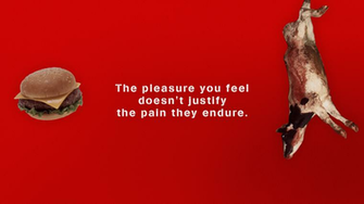 Vegan Wallpaper
