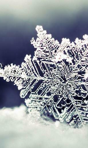Snowflake HD Live Wallpaper For Android By Woodart