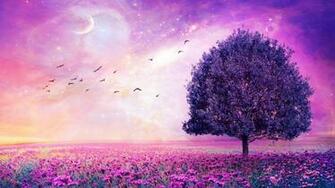 Flower Field Wallpaper Best