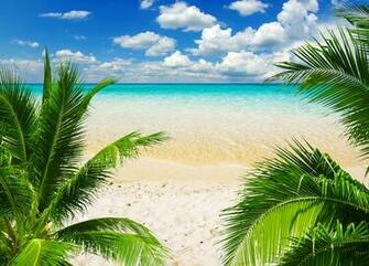 Tropic Beach Background Gallery Yopriceville High Quality