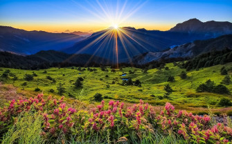 Wallpaper Mountains Meadow Sunrise Flowers Beautiful Scenery