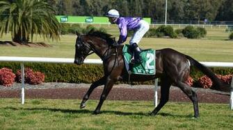 Horse Racing Wallpaper Pictures Image