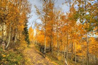 Wallpaper Mid Mountain Trail Park City Utah Autumn Desktop