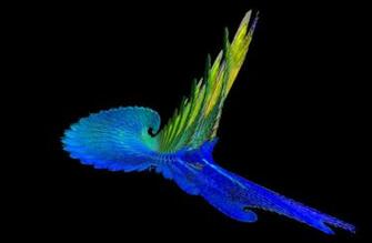 Blue Green Fractal Wallpaper