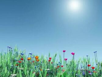 Spring Desktop Wallpaper HD Art 3d Nature Butterfly Dwonload